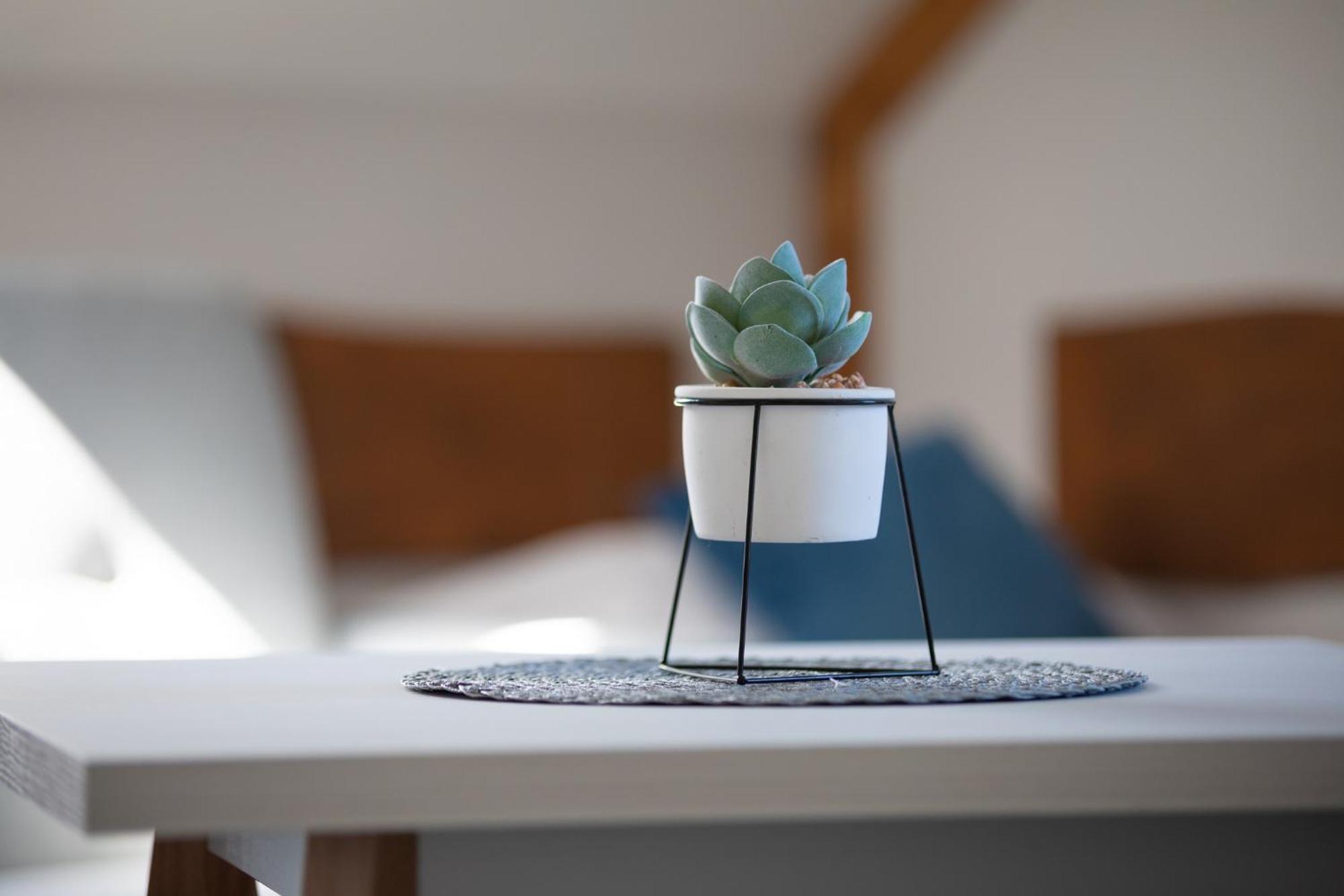 Hotel Pod Sową Sokolec Pokój zdjęcie